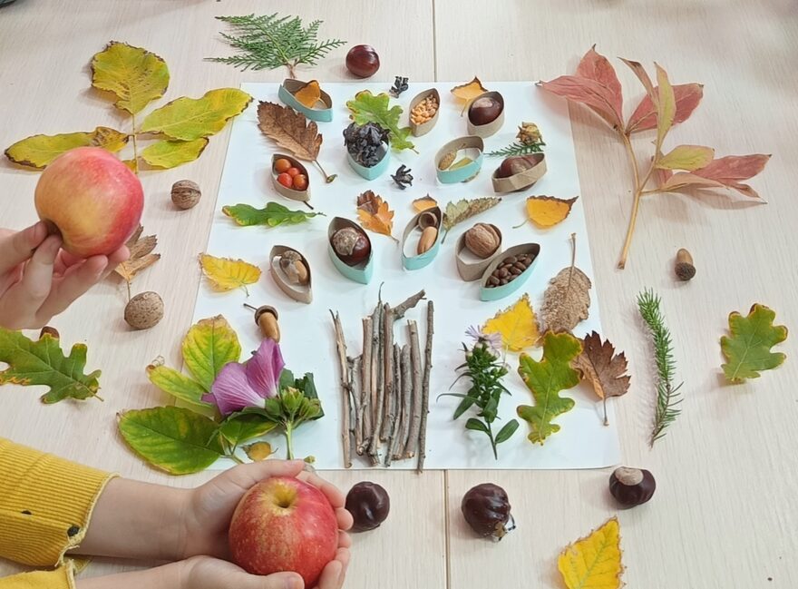 Всероссийский творческий конкурс «Дары осени»  - детский рисунок, поделка, творческая работа, категория взрослые, дистанционный конкурс, школьный конкурс