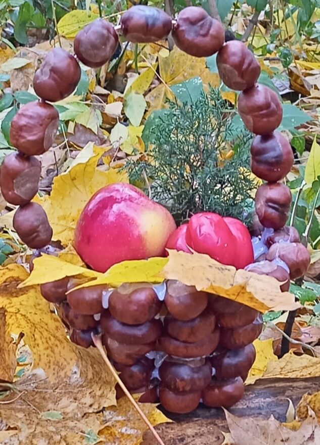 Всероссийский творческий конкурс «Дары осени»  - детский рисунок, поделка, творческая работа, категория школьники, 2 класс, дистанционный конкурс, школьный конкурс