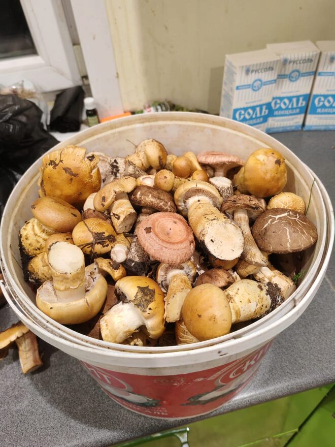 Всероссийский творческий конкурс «Дары осени»  - детский рисунок, поделка, творческая работа, категория дошкольники, детский сад, дистанционный конкурс, школьный конкурс