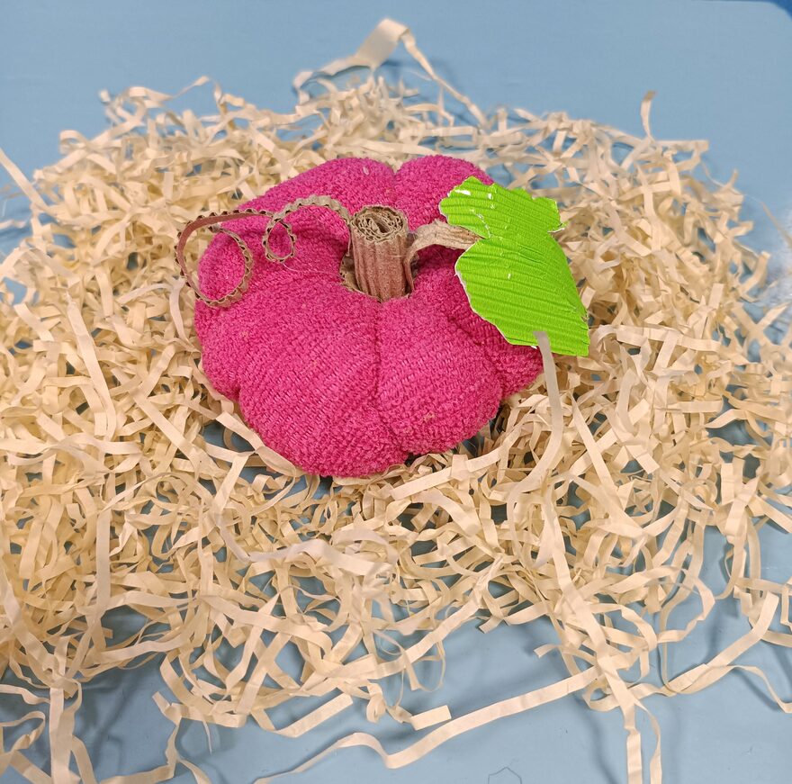 Всероссийский творческий конкурс «Дары осени»  - детский рисунок, поделка, творческая работа, категория школьники, 5 класс, дистанционный конкурс, школьный конкурс