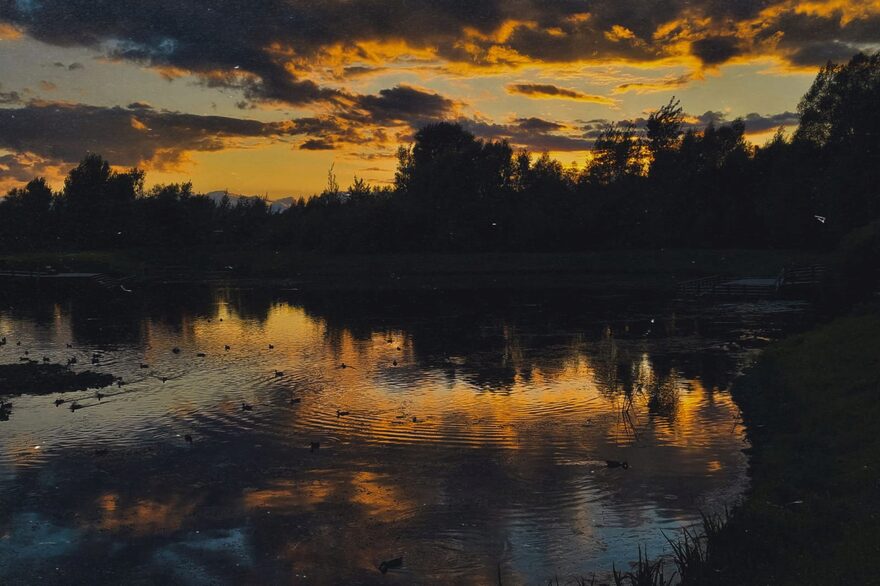 Всероссийский творческий конкурс «Радуга талантов»  - детский рисунок, поделка, творческая работа, категория школьники, 2 класс, дистанционный конкурс, школьный конкурс