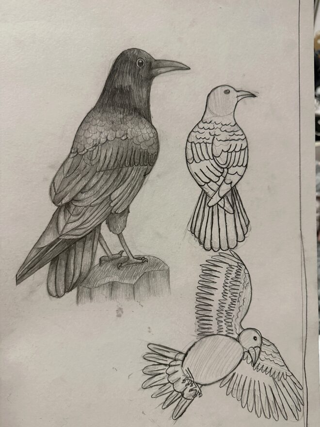 Всероссийский творческий конкурс «Мир птиц»  - детский рисунок, поделка, творческая работа, категория школьники, 6 класс, дистанционный конкурс, школьный конкурс