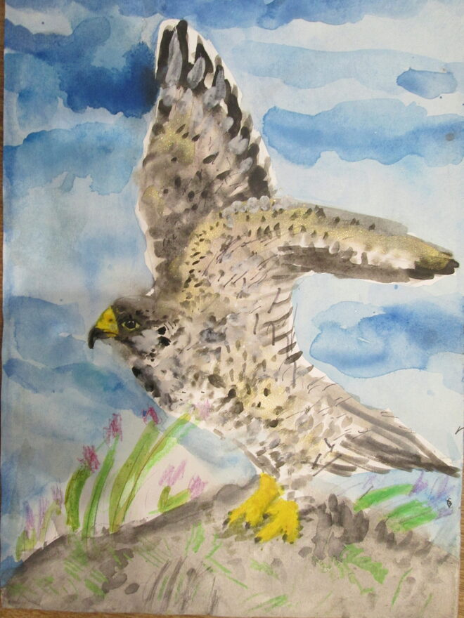 Всероссийский творческий конкурс «Мир птиц»  - детский рисунок, поделка, творческая работа, категория взрослые, дистанционный конкурс, школьный конкурс