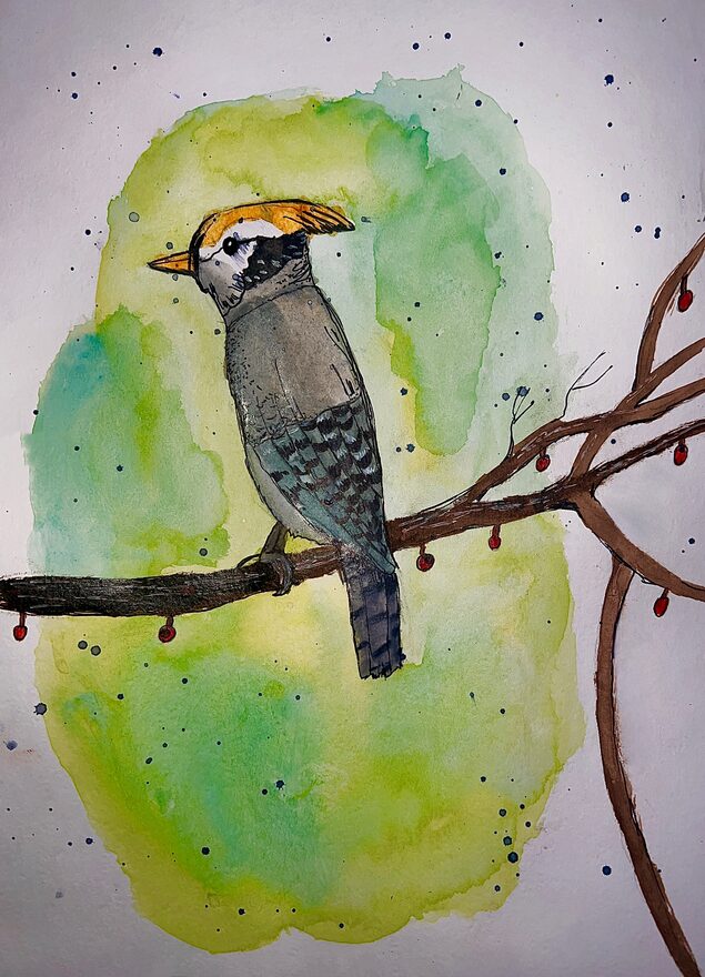 Всероссийский творческий конкурс «Мир птиц»  - детский рисунок, поделка, творческая работа, категория школьники, 3 класс, дистанционный конкурс, школьный конкурс