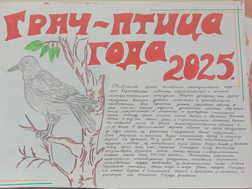 Всероссийский творческий конкурс «Мир птиц»  - детский рисунок, поделка, творческая работа, категория школьники, 5 класс, дистанционный конкурс, школьный конкурс