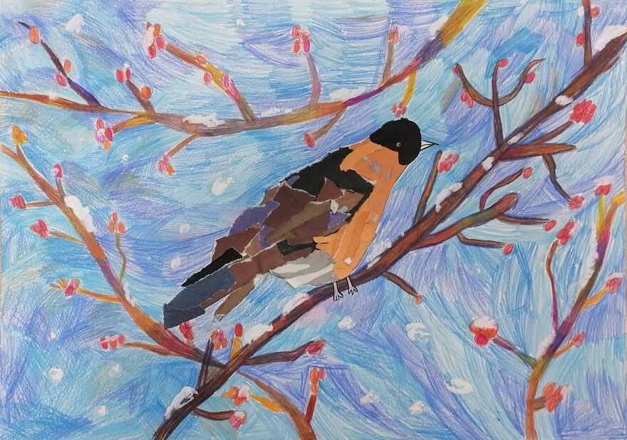 Всероссийский творческий конкурс «Мир птиц»  - детский рисунок, поделка, творческая работа, категория школьники, 2 класс, дистанционный конкурс, школьный конкурс