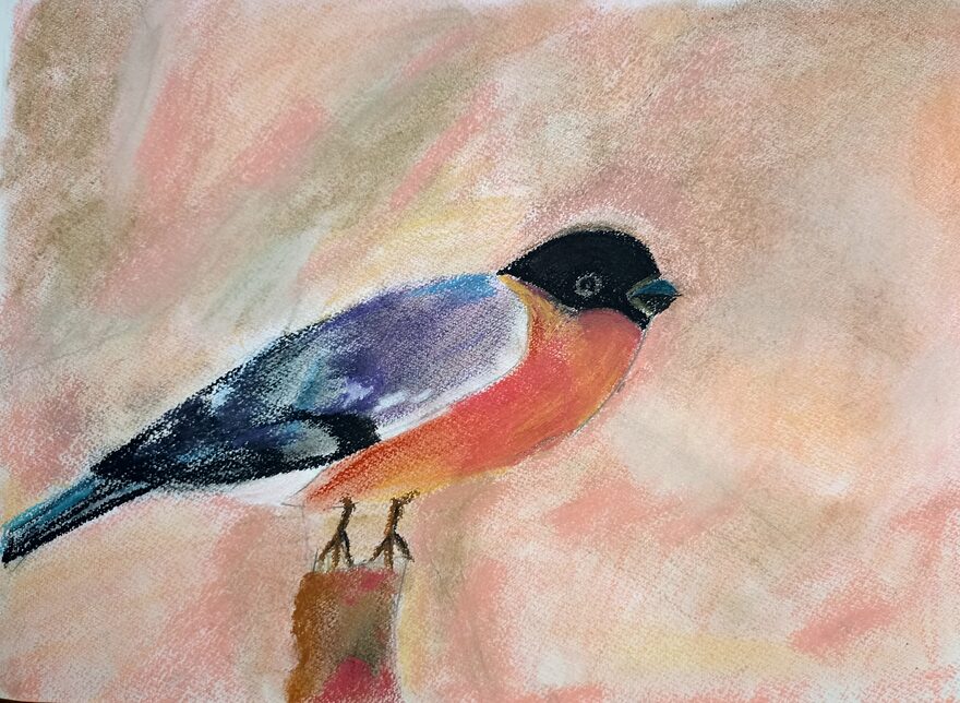 Всероссийский творческий конкурс «Мир птиц»  - детский рисунок, поделка, творческая работа, категория школьники, 2 класс, дистанционный конкурс, школьный конкурс