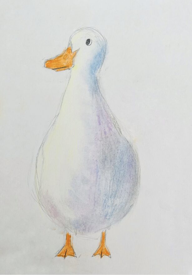 Всероссийский творческий конкурс «Мир птиц»  - детский рисунок, поделка, творческая работа, категория школьники, 4 класс, дистанционный конкурс, школьный конкурс