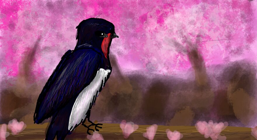 Всероссийский творческий конкурс «Мир птиц»  - детский рисунок, поделка, творческая работа, категория школьники, 3 класс, дистанционный конкурс, школьный конкурс