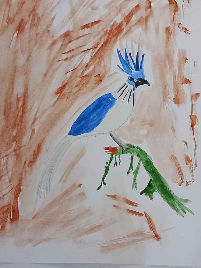 Всероссийский творческий конкурс «Мир птиц»  - детский рисунок, поделка, творческая работа, категория школьники, 3 класс, дистанционный конкурс, школьный конкурс