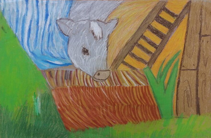 Всероссийский творческий конкурс «В гостях у сказки»  - детский рисунок, поделка, творческая работа, категория школьники, 2 класс, дистанционный конкурс, школьный конкурс