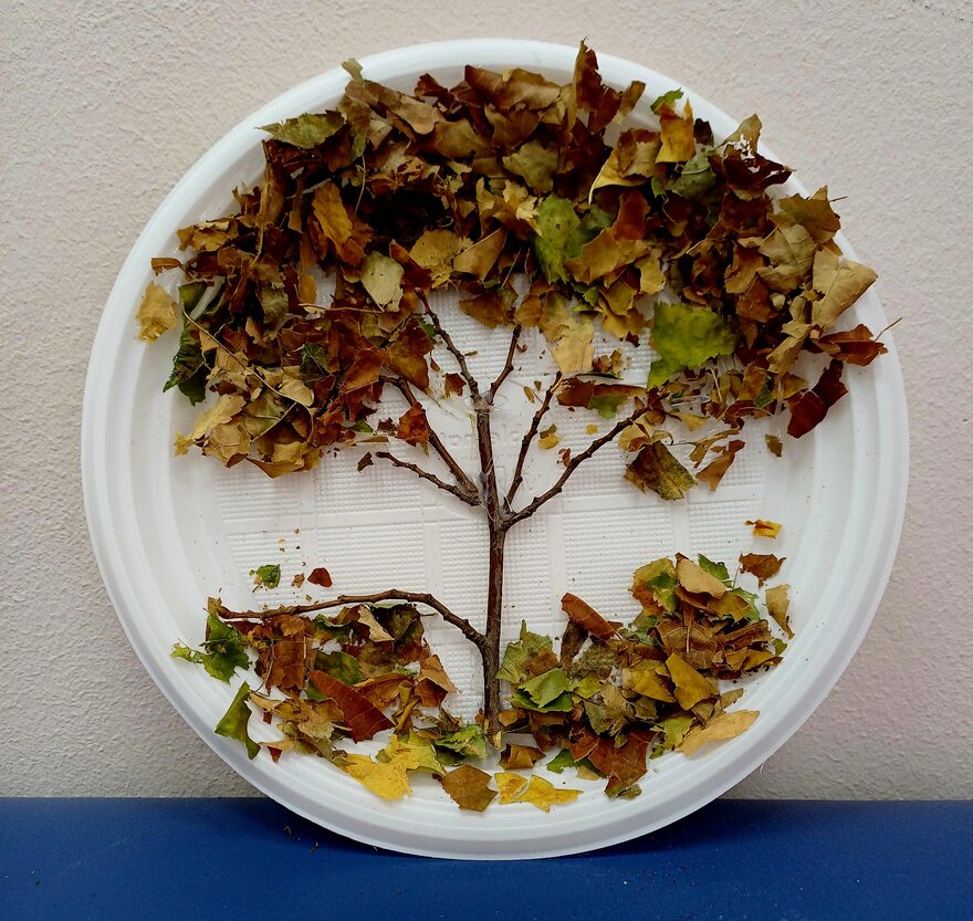 Всероссийский творческий конкурс «Очарование осени»  - детский рисунок, поделка, творческая работа, категория школьники, 2 класс, дистанционный конкурс, школьный конкурс