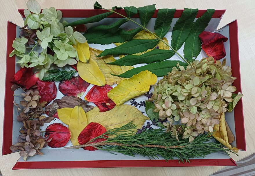 Всероссийский творческий конкурс «Очарование осени»  - детский рисунок, поделка, творческая работа, категория школьники, 2 класс, дистанционный конкурс, школьный конкурс