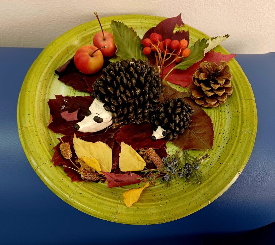 Всероссийский творческий конкурс «Очарование осени»  - детский рисунок, поделка, творческая работа, категория школьники, 2 класс, дистанционный конкурс, школьный конкурс