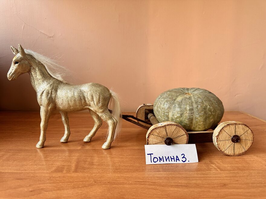 Всероссийский творческий конкурс «Очарование осени»  - детский рисунок, поделка, творческая работа, категория школьники, 2 класс, дистанционный конкурс, школьный конкурс