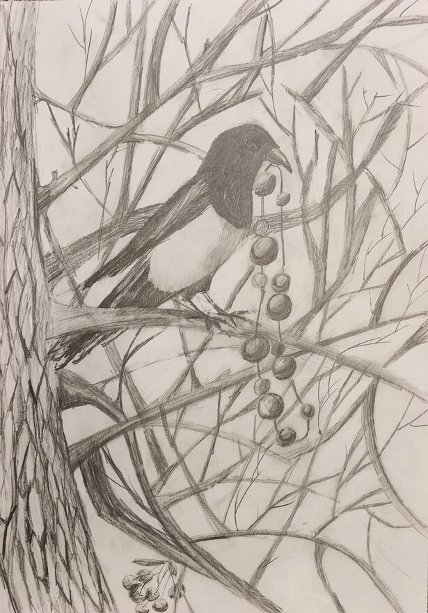 Всероссийский творческий конкурс «Очарование осени»  - детский рисунок, поделка, творческая работа, категория школьники, 3 класс, дистанционный конкурс, школьный конкурс