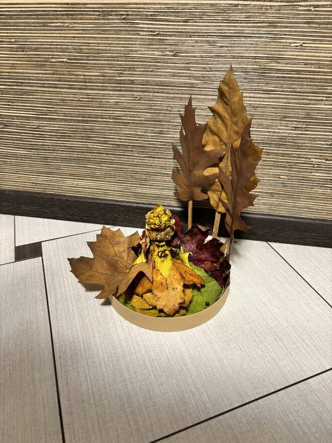 Всероссийский творческий конкурс «Очарование осени»  - детский рисунок, поделка, творческая работа, категория школьники, 4 класс, дистанционный конкурс, школьный конкурс