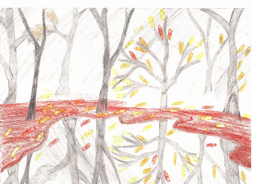 Всероссийский творческий конкурс «Очарование осени»  - детский рисунок, поделка, творческая работа, категория школьники, 3 класс, дистанционный конкурс, школьный конкурс