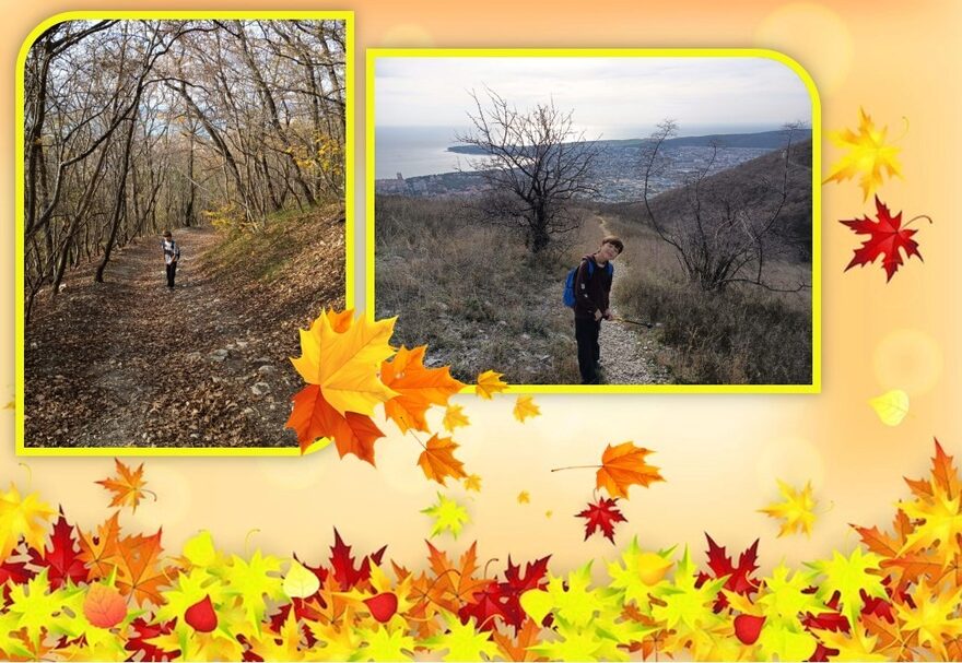 Всероссийский творческий конкурс «Очарование осени»  - детский рисунок, поделка, творческая работа, категория школьники, 3 класс, дистанционный конкурс, школьный конкурс