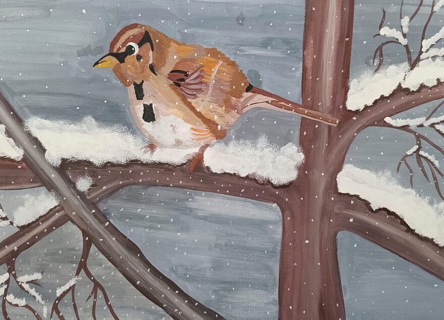 Всероссийский творческий конкурс «Разбросала зима покрывала...»  - детский рисунок, поделка, творческая работа, категория школьники, 5 класс, дистанционный конкурс, школьный конкурс