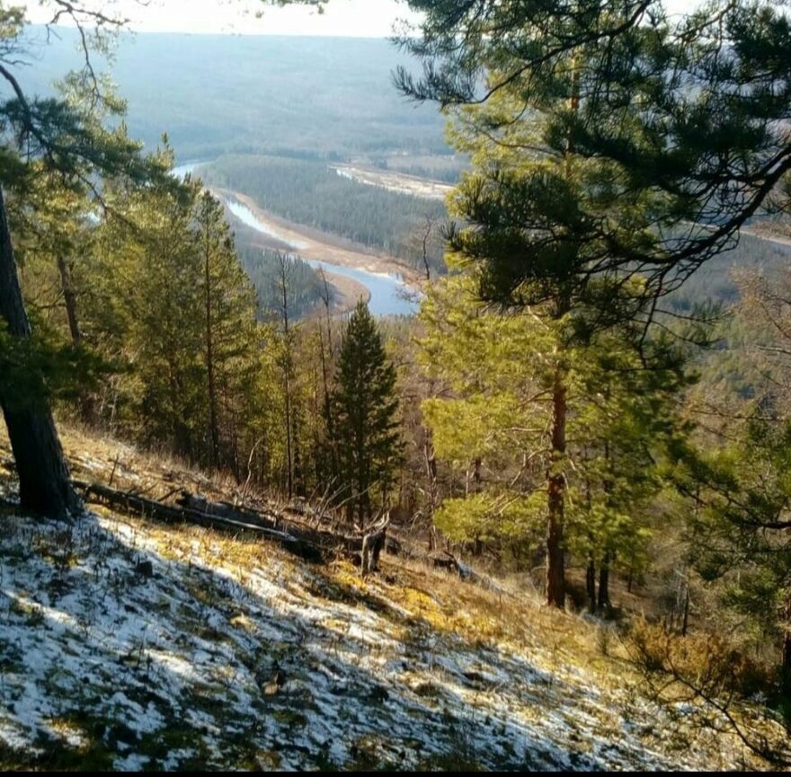 Всероссийский творческий конкурс «Разбросала зима покрывала...»  - детский рисунок, поделка, творческая работа, категория взрослые, дистанционный конкурс, школьный конкурс