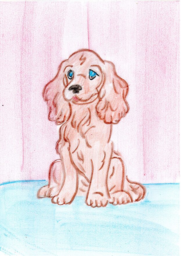 Всероссийский творческий конкурс «Дикие, домашние и очень-очень важные»  - детский рисунок, поделка, творческая работа, категория дошкольники, детский сад, дистанционный конкурс, школьный конкурс