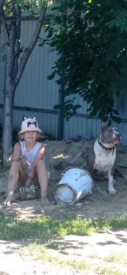 Всероссийский творческий конкурс «Дикие, домашние и очень-очень важные»  - детский рисунок, поделка, творческая работа, категория школьники, 2 класс, дистанционный конкурс, школьный конкурс