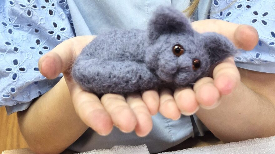 Всероссийский творческий конкурс «Дикие, домашние и очень-очень важные»  - детский рисунок, поделка, творческая работа, категория школьники, 1 класс, дистанционный конкурс, школьный конкурс