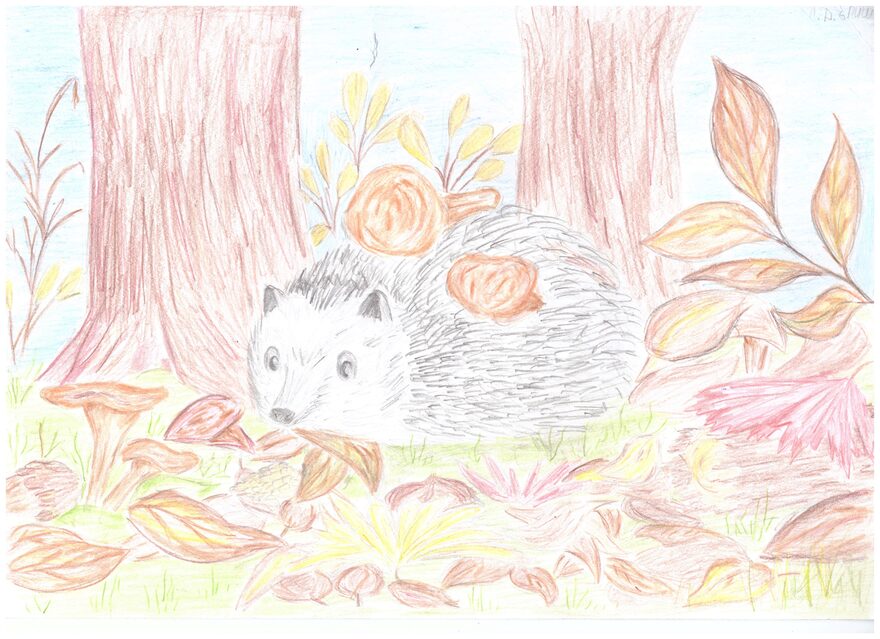 Всероссийский творческий конкурс «Дикие, домашние и очень-очень важные»  - детский рисунок, поделка, творческая работа, категория школьники, 6 класс, дистанционный конкурс, школьный конкурс