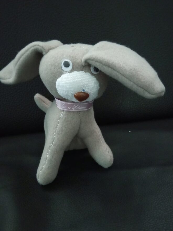 Всероссийский творческий конкурс «Дикие, домашние и очень-очень важные»  - детский рисунок, поделка, творческая работа, категория школьники, 9 класс, дистанционный конкурс, школьный конкурс