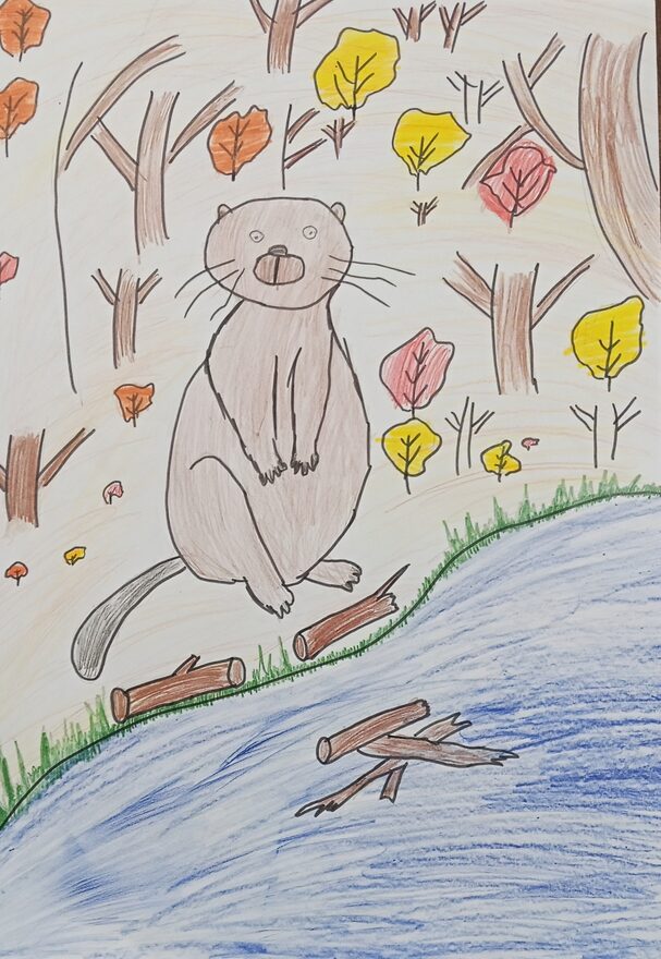 Всероссийский творческий конкурс «Дикие, домашние и очень-очень важные»  - детский рисунок, поделка, творческая работа, категория школьники, 3 класс, дистанционный конкурс, школьный конкурс