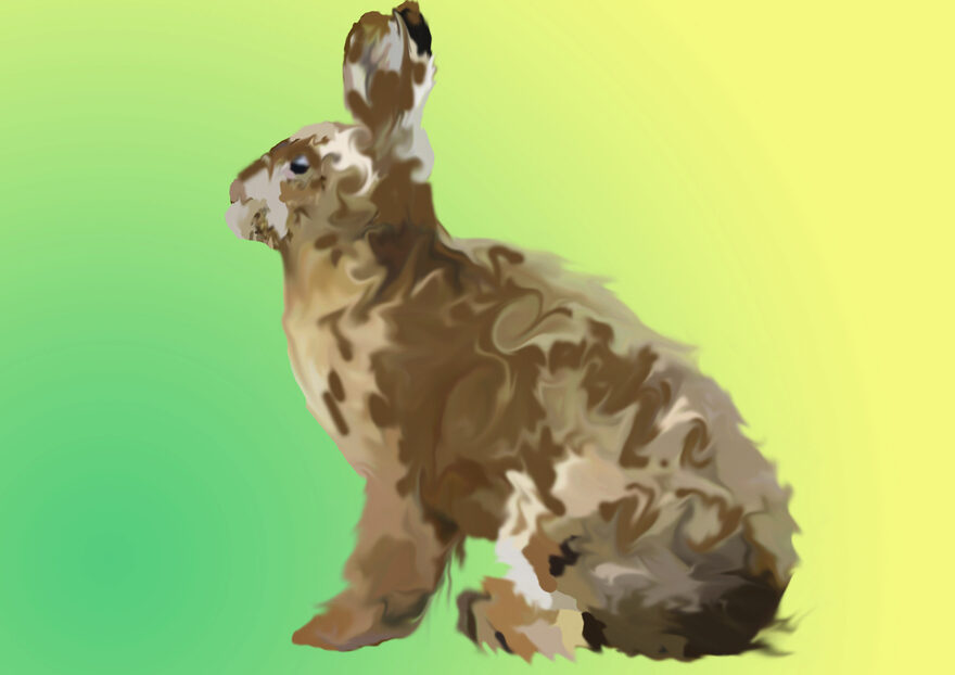 Всероссийский творческий конкурс «Дикие, домашние и очень-очень важные»  - детский рисунок, поделка, творческая работа, категория школьники, 6 класс, дистанционный конкурс, школьный конкурс