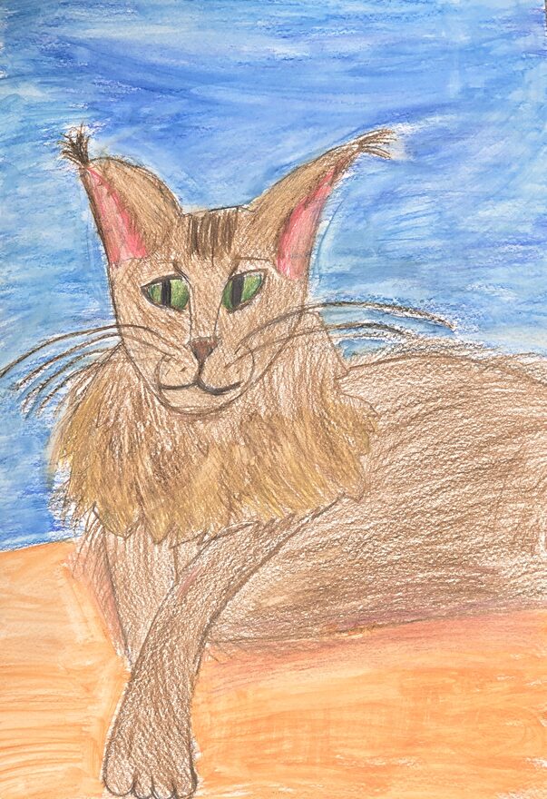 Всероссийский творческий конкурс «Дикие, домашние и очень-очень важные»  - детский рисунок, поделка, творческая работа, категория школьники, 3 класс, дистанционный конкурс, школьный конкурс