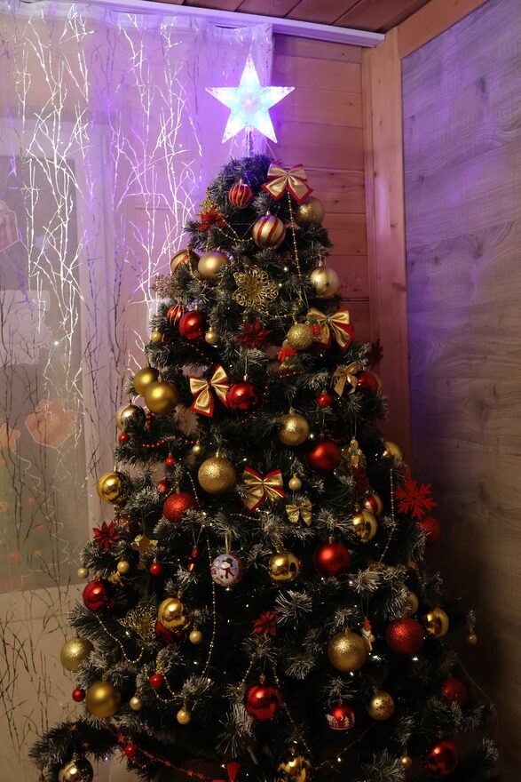 Всероссийский творческий конкурс «Пока часы двенадцать бьют...»  - детский рисунок, поделка, творческая работа, категория школьники, 2 класс, дистанционный конкурс, школьный конкурс