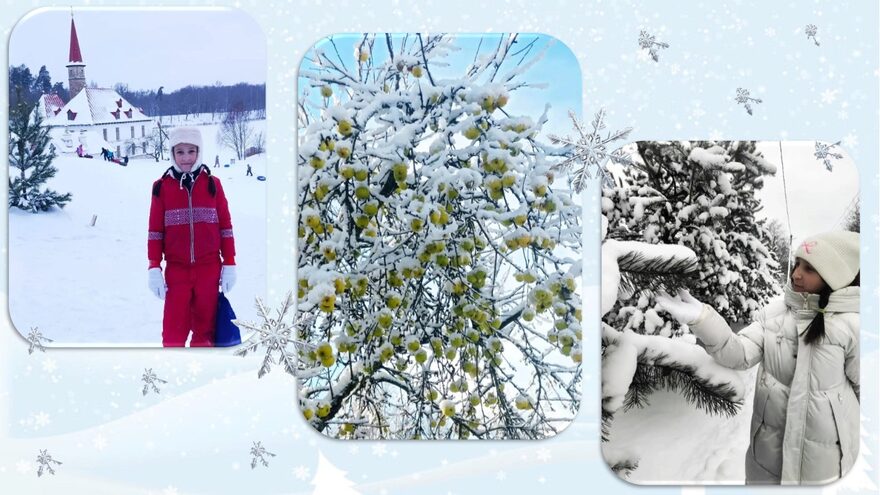 Всероссийский творческий конкурс «Поёт зима - аукает...»  - детский рисунок, поделка, творческая работа, категория школьники, 4 класс, дистанционный конкурс, школьный конкурс