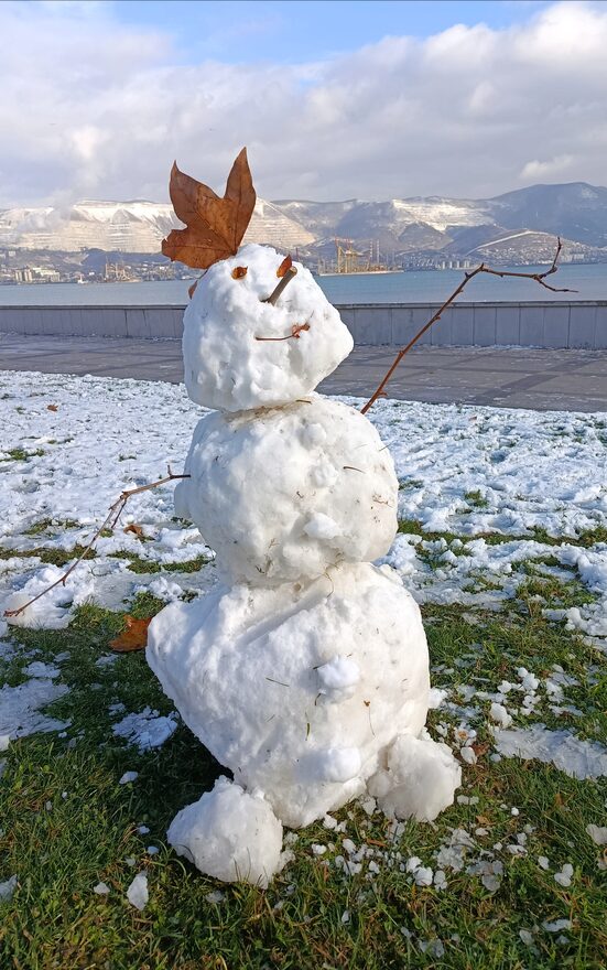 Всероссийский творческий конкурс «Фестиваль снеговиков»  - детский рисунок, поделка, творческая работа, категория школьники, 2 класс, дистанционный конкурс, школьный конкурс