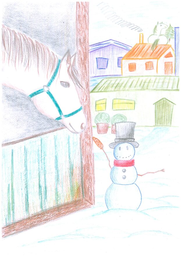 Всероссийский творческий конкурс «Фестиваль снеговиков»  - детский рисунок, поделка, творческая работа, категория школьники, 7 класс, дистанционный конкурс, школьный конкурс