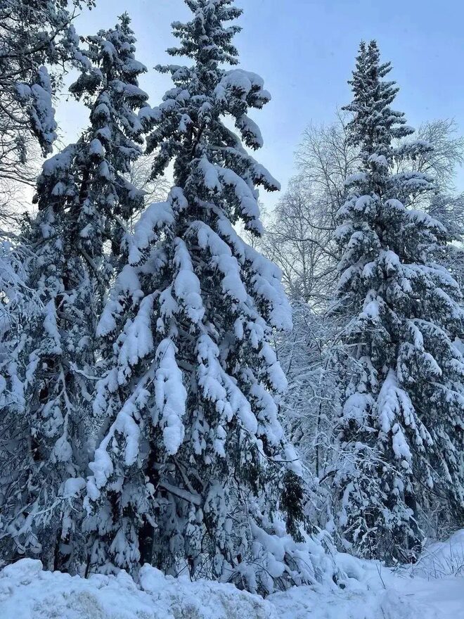 Всероссийский творческий конкурс «Зимушка-зима»  - детский рисунок, поделка, творческая работа, категория школьники, 3 класс, дистанционный конкурс, школьный конкурс