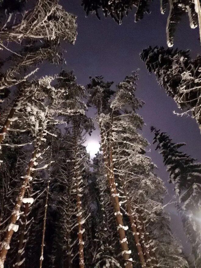 Всероссийский творческий конкурс «Зимушка-зима»  - детский рисунок, поделка, творческая работа, категория школьники, 8 класс, дистанционный конкурс, школьный конкурс