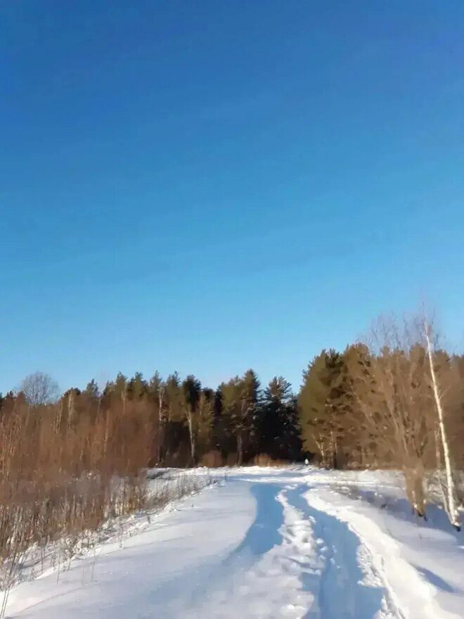 Всероссийский творческий конкурс «Зимушка-зима»  - детский рисунок, поделка, творческая работа, категория школьники, 8 класс, дистанционный конкурс, школьный конкурс