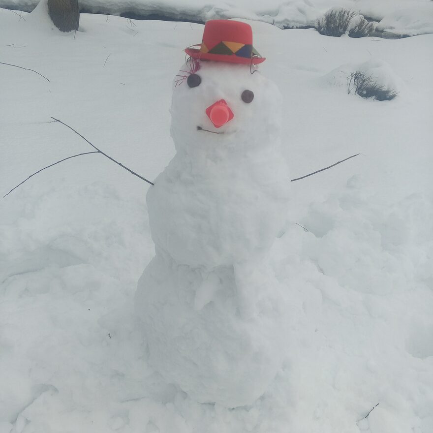 Всероссийский творческий конкурс «Зимушка-зима»  - детский рисунок, поделка, творческая работа, категория взрослые, дистанционный конкурс, школьный конкурс