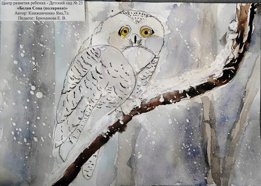 Всероссийский творческий конкурс «Зимушка-зима»  - детский рисунок, поделка, творческая работа, категория дошкольники, детский сад, дистанционный конкурс, школьный конкурс