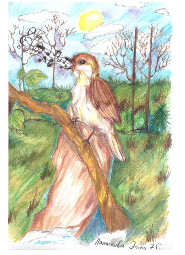 Всероссийский творческий конкурс «Первая песенка весны»  - детский рисунок, поделка, творческая работа, категория школьники, 7 класс, дистанционный конкурс, школьный конкурс