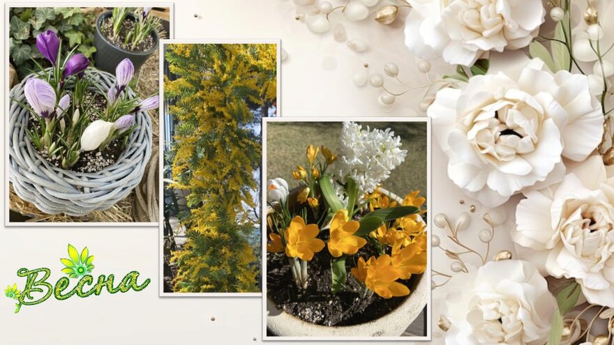 Всероссийский творческий конкурс «Первая песенка весны»  - детский рисунок, поделка, творческая работа, категория школьники, 5 класс, дистанционный конкурс, школьный конкурс