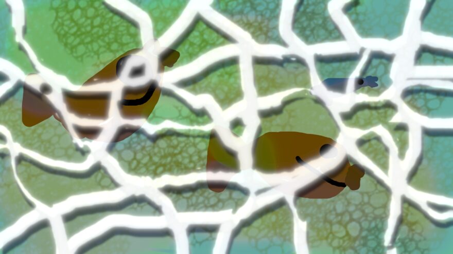 Всероссийский творческий конкурс «В мире животных»  - детский рисунок, поделка, творческая работа, категория школьники, 3 класс, дистанционный конкурс, школьный конкурс