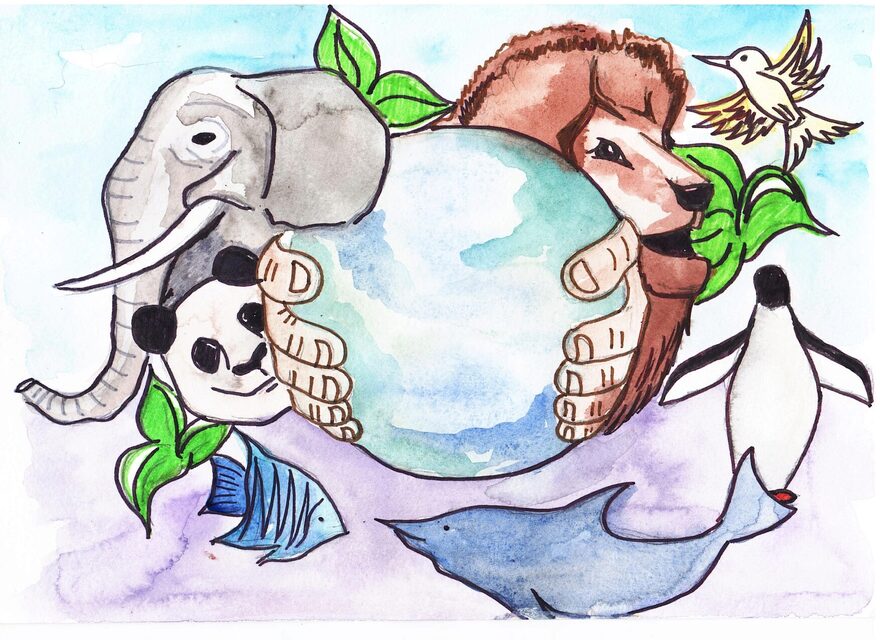 Всероссийский творческий конкурс «В мире животных»  - детский рисунок, поделка, творческая работа, категория школьники, 3 класс, дистанционный конкурс, школьный конкурс