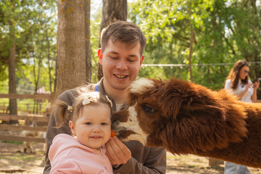 Всероссийский творческий конкурс «В мире животных»  - детский рисунок, поделка, творческая работа, категория дошкольники, детский сад, дистанционный конкурс, школьный конкурс