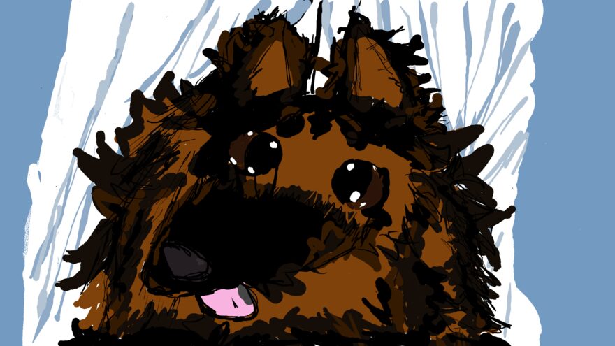 Всероссийский творческий конкурс «В мире животных»  - детский рисунок, поделка, творческая работа, категория школьники, 3 класс, дистанционный конкурс, школьный конкурс