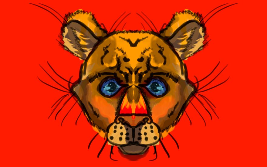 Всероссийский творческий конкурс «В мире животных»  - детский рисунок, поделка, творческая работа, категория школьники, 2 класс, дистанционный конкурс, школьный конкурс