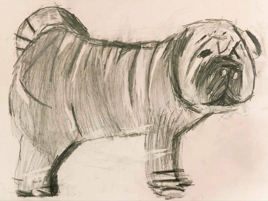 Всероссийский творческий конкурс «В мире животных»  - детский рисунок, поделка, творческая работа, категория школьники, 2 класс, дистанционный конкурс, школьный конкурс